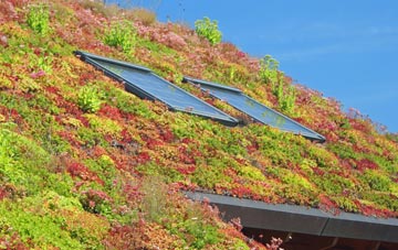 Ceann A Tuath Loch Baghasdail living roof systems